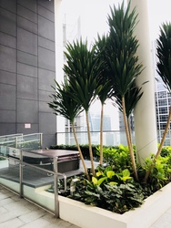 The Laurels (D9), Condominium #172912542
